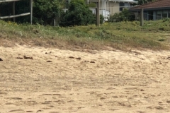 Close to Beach
